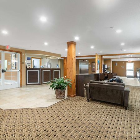 Microtel Inn&Suites by Wyndham Breaux Bridge Extérieur photo